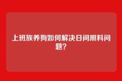 上班族养狗如何解决日间照料问题？
