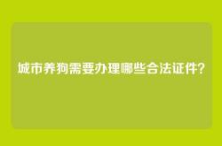 城市养狗需要办理哪些合法证件？