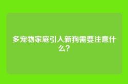 多宠物家庭引入新狗需要注意什么？