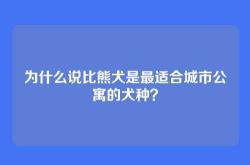 为什么说比熊犬是最适合城市公寓的犬种？