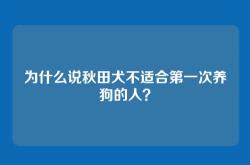 为什么说秋田犬不适合第一次养狗的人？