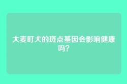 大麦町犬的斑点基因会影响健康吗？