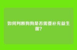 如何判断狗狗是否需要补充益生菌？