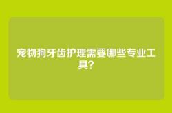 宠物狗牙齿护理需要哪些专业工具？
