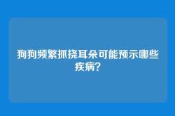 狗狗频繁抓挠耳朵可能预示哪些疾病？