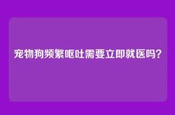 宠物狗频繁呕吐需要立即就医吗？