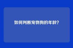 如何判断宠物狗的年龄？