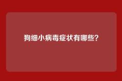 狗细小病毒症状有哪些？