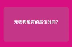 宠物狗绝育的最佳时间？
