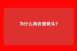 为什么狗会埋骨头？