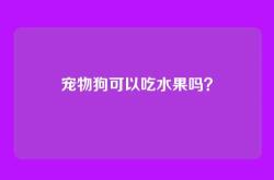 宠物狗可以吃水果吗？