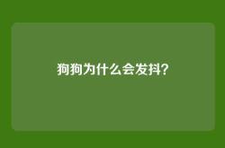 狗狗为什么会发抖？