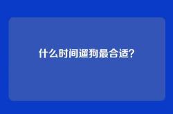 什么时间遛狗最合适？