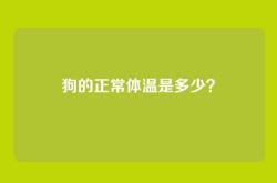 狗的正常体温是多少？