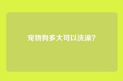 宠物狗多大可以洗澡？