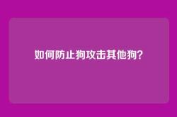 如何防止狗攻击其他狗？