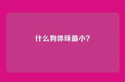 什么狗体味最小？