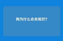 狗为什么会夹尾巴？