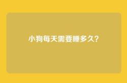 小狗每天需要睡多久？