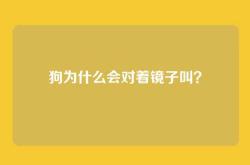 狗为什么会对着镜子叫？