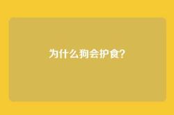 为什么狗会护食？