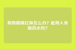 狗狗眼睛红肿怎么办？能用人类眼药水吗？