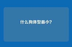 什么狗体型最小？