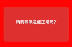 狗狗呼吸急促正常吗？