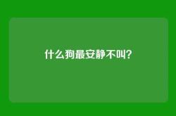 什么狗最安静不叫？