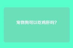 宠物狗可以吃鸡肝吗？