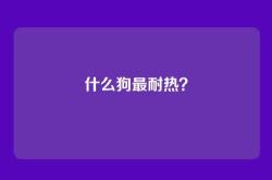 什么狗最耐热？