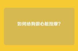 如何给狗做心脏按摩？