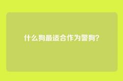 什么狗最适合作为警狗？