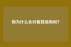 狗为什么会对着其他狗叫？