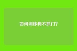 如何训练狗不抓门？