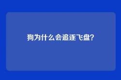 狗为什么会追逐飞盘？