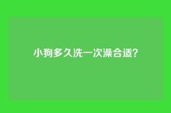 小狗多久洗一次澡合适？