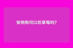 宠物狗可以吃草莓吗？