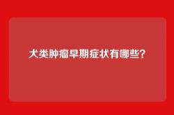 犬类肿瘤早期症状有哪些？