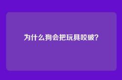 为什么狗会把玩具咬破？