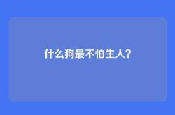 什么狗最不怕生人？