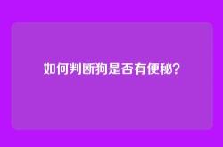 如何判断狗是否有便秘？
