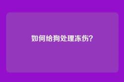 如何给狗处理冻伤？