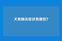 犬类肺炎症状有哪些？