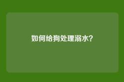 如何给狗处理溺水？
