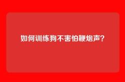 如何训练狗不害怕鞭炮声？