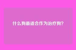 什么狗最适合作为治疗狗？