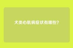 犬类心肌病症状有哪些？