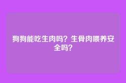 狗狗能吃生肉吗？生骨肉喂养安全吗？