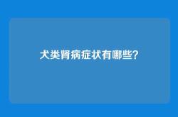 犬类肾病症状有哪些？